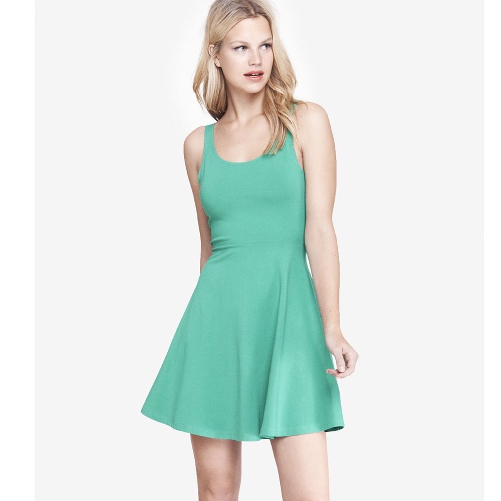 Express Skater Dress in Green-Blue
